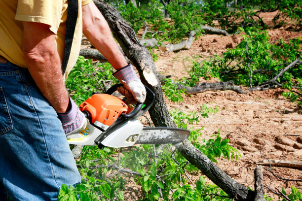 Best Seasonal Cleanup (Spring/Fall)  in Suwanee, GA